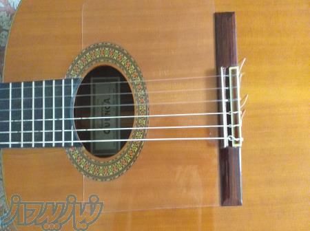 تدریس گیتار پاپ و فلامنکو ویژه بانوان و کودکان توسط مدرس خانم