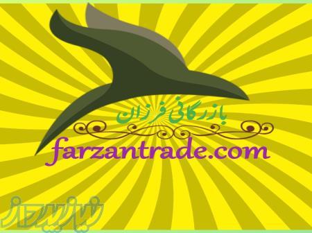 بازرگانی کشمش فرزان 