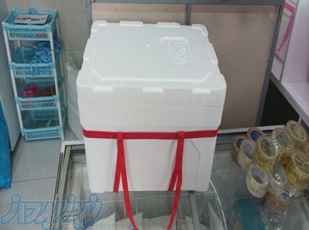 تولید کننده محصولات پلاستوفوم : یخدان،در هرمزگان 