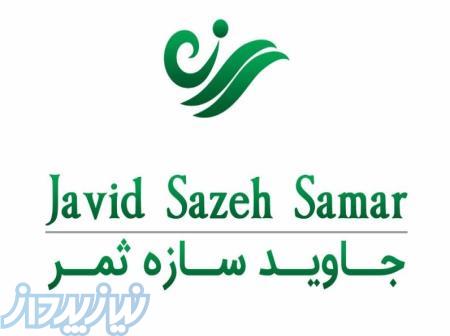 شرکت جاوید سازه ثمر 