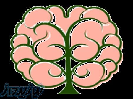 مرکز روانشناسی ذهن آرا 