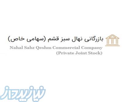 بازرگانی نهال سبز قشم 