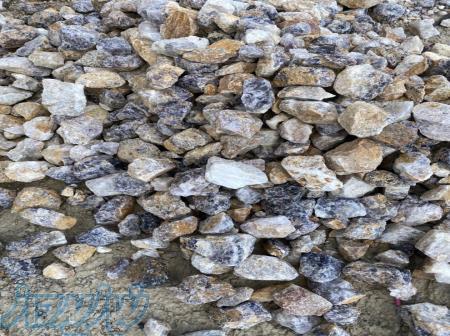 فروش فلورین 