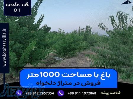 خرید باغ در متراژ دلخواه 1000 متری   کوهسار ویلا 