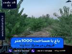 خرید باغ در متراژ دلخواه 1000 متری   کوهسار ویلا 