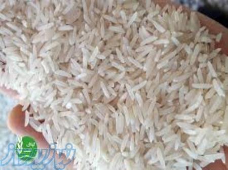 فروش برنج کامفیروز شیراز درجه یک 