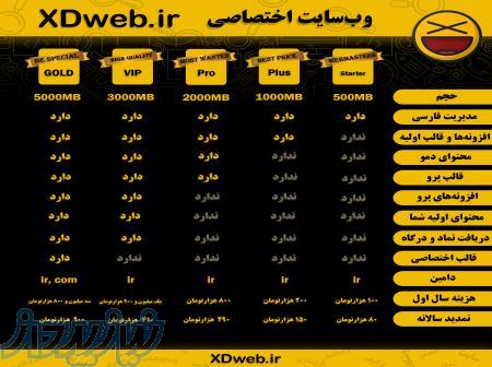 وب سایت حرفه ای و ارزان 