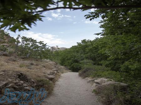 تور یک روزه تنگ زیبای مرغک و آبشار استهبان 