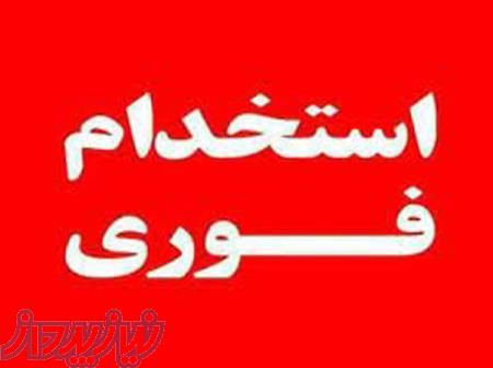 کارمند خانم جهت جواب دادن تلفن و انجام امور دفتری 
