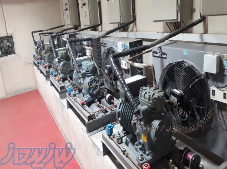 تعمیر سردخانه،آیس بانک،تونل انجماد،درایر 