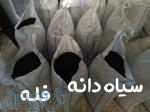 عرضه فله سیاه دانه اعلا 