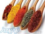 پخش عمده و خرده ادویه جات به سرتاسر ایران 