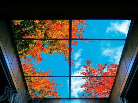 فروش ویژه و استثناعی آسمان مجازی آرشید 