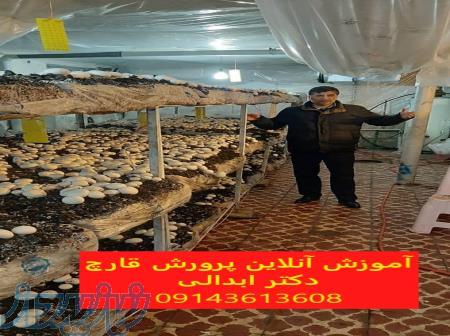 ارسال کمپوست قارچ به سراسر کشور 