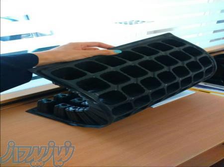 فروش سینی نشا گلخانه 