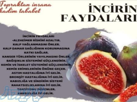 تدریس طب سنتی 