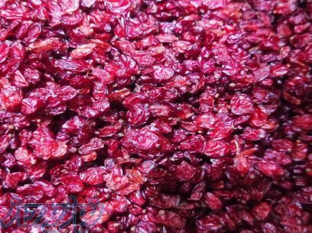 زرشک ترش اعلا بیرجند 