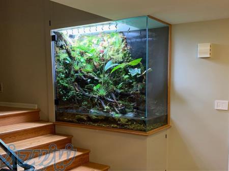 ویواریوم ، تراریوم و پالوداریوم 