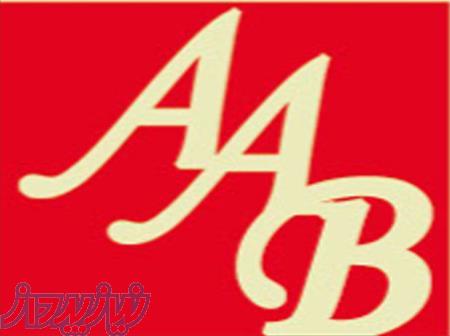 جرثقیل سازی مدرن آران باخ 