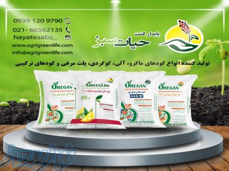 تولید کننده کودهای گرانوله گوگردی 