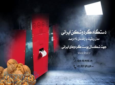 گردوشکن گردوی ایرانی 