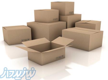 کارتن سازی نفیس شمس 