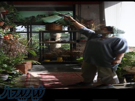 نگهداری از گل و گیاه 