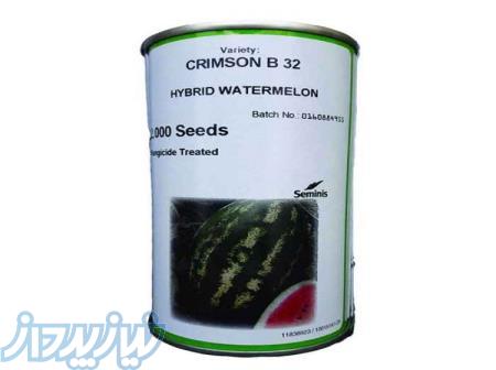 فروش بذر هندوانه بی32 b32