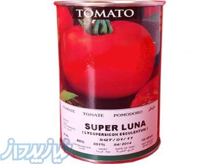 فروش بذر گوجه فرنگی سوپرلونا