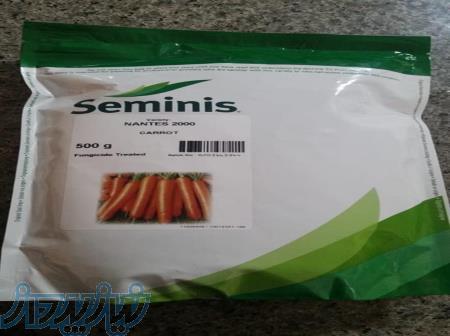 فروش بذر هویج نانتس2000