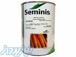 بذر هویج نانتس 2000 سمینیس Nantes Carrot Seed 2000 
