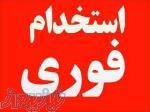 استخدام کارشناس فروش و بازاریاب 