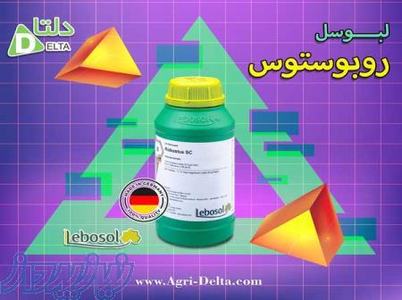 لبوسل روبوستوس اس سی 