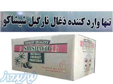ذغال نارگیل شیشاکو 