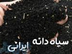 خرید سیاه دانه ایرانی به صورت عمده 