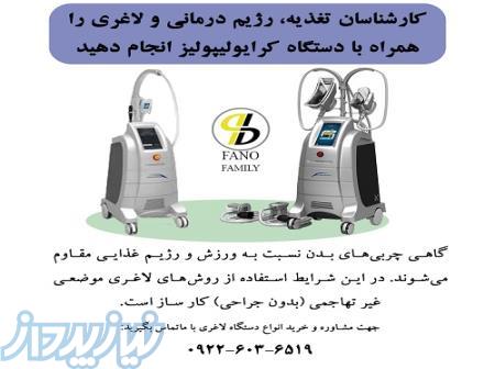 کارشناسان تغذیه، رژیم درمانی و لاغری را همراه با دستگاه کرایولیپولیز انجام دهید