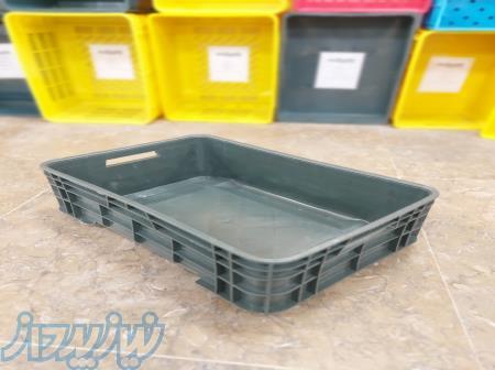 جعبه بیست کیلویی حمل ماهی قزل آلا 