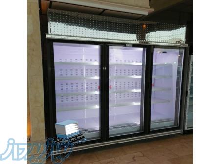 فریزر ایستاده سردین کالا 