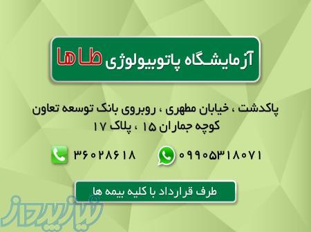 آزمایشگاه تخصصی طاها(دکتر بهنام حسن بگلو) 