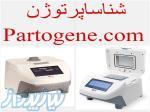 ترمال سایکلر و ریل تایم (Thermo Cyclers   Real-Time PCR) 