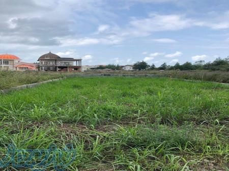 فروش زمین 1800 متری در کلارآباد 