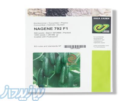 بذرخیارناگین