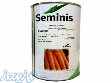 بذر هویج نانتس 2000 سمینیس 