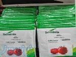 بذر گوجه فرنگی هیبرید بریویو