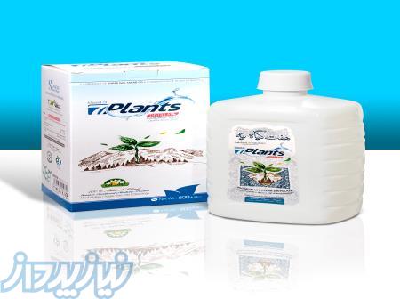 پاکسازی ریه 