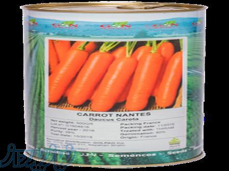 بذرهویچ نانتس 