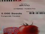بذر گوجه فرنگی بریویو سیمینس 
