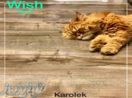 پارکت لمینت کارولک KAROLEK 