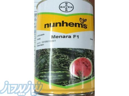 بذرهندوانه منارا نانهمزهلند