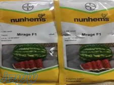 بذر هندوانه میراژ 